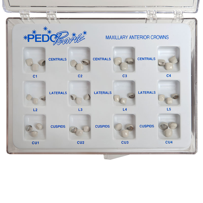 orthodontics in hinged plastic boxes