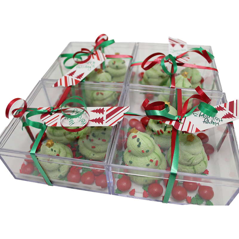 holiday gift in rigid plastic box